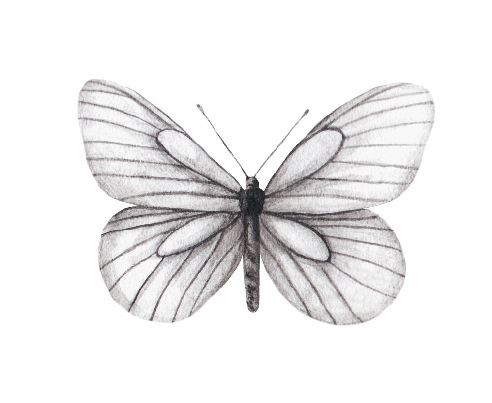 Lunalichtfalter