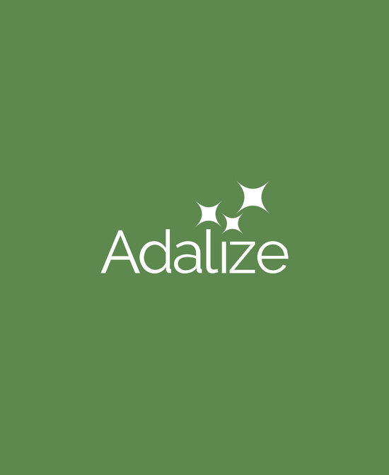 adalize16-(1)-60 3
