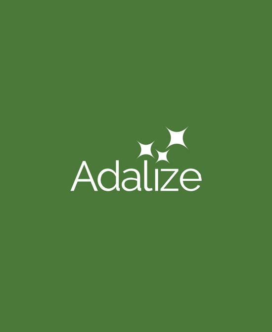 adalize16-(1)-60 4